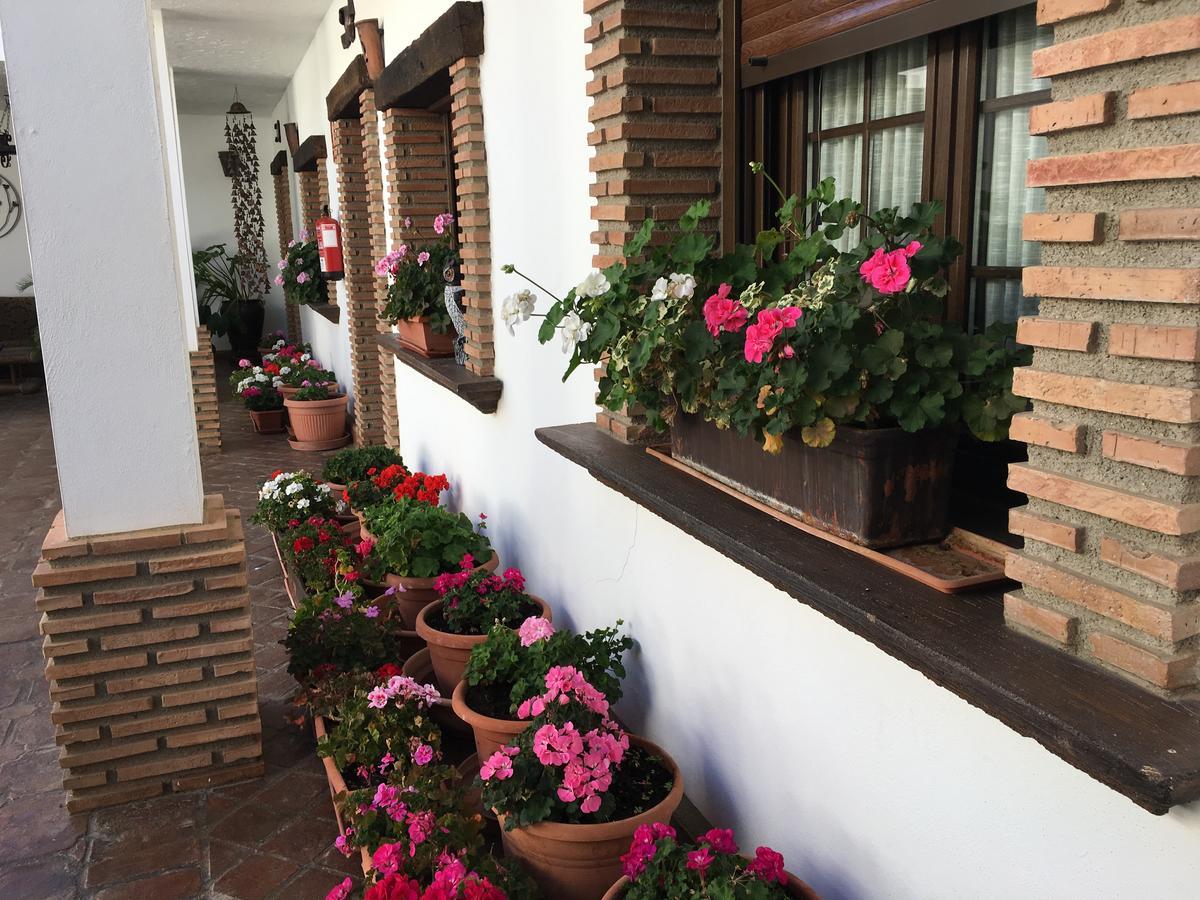 ホテル La Hacienda Del Marquesado Albunan エクステリア 写真